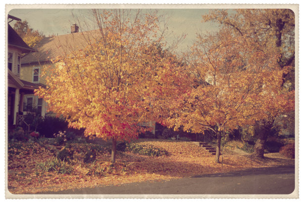 新英格兰的秋天-老式明信片图片下载