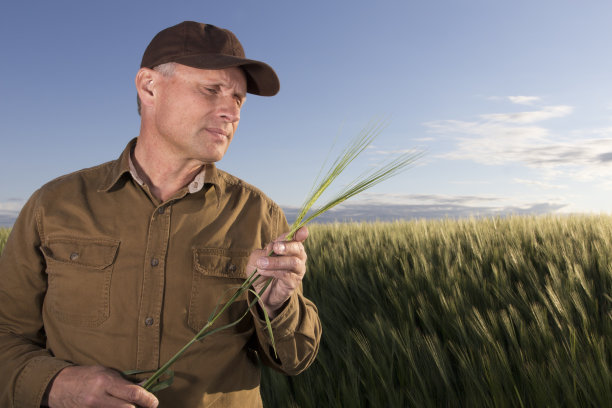 农民农作物检验图片下载