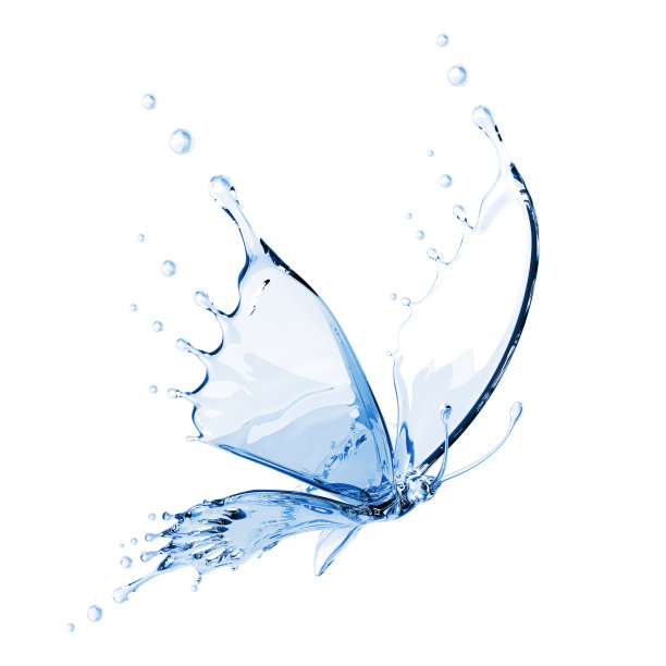 水的蝴蝶图片下载