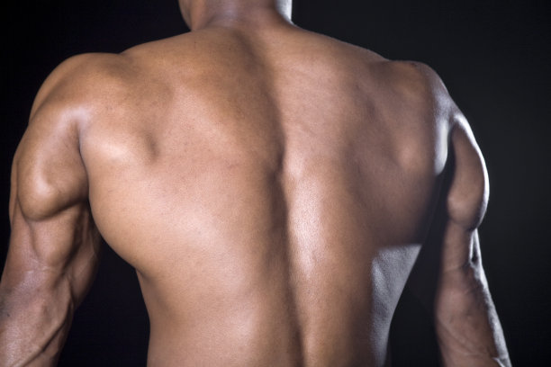 男性健美者的手臂和背部颜色图片下载