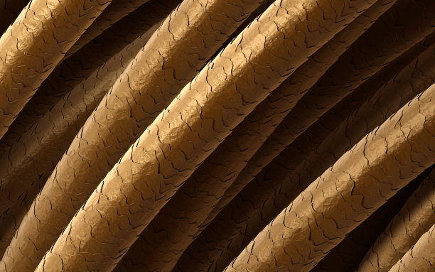 头发照片素材ID：145111216