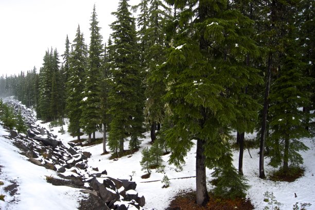 九月的瀑布之雪图片下载