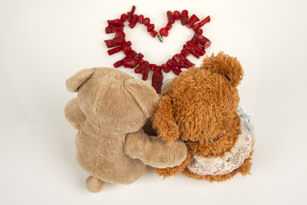 泰迪熊和珊瑚项链图片下载