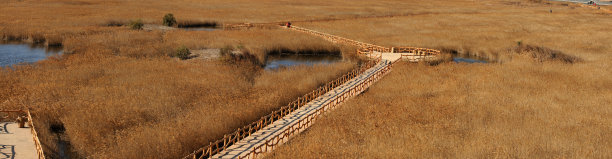 黄河湿地图片下载