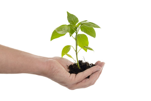 精致的增长图片下载