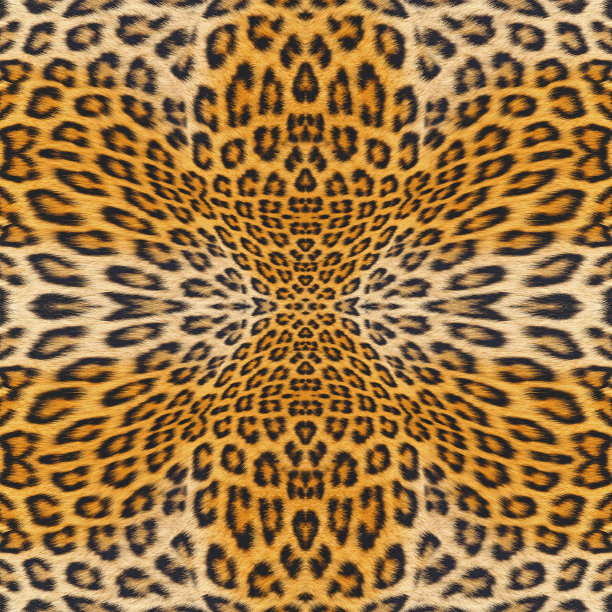 背景图案图片下载