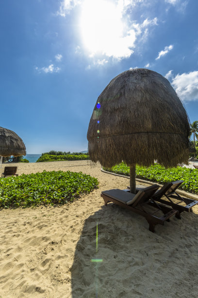 热带花园图片下载