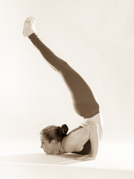 瑜伽后弯曲图片下载