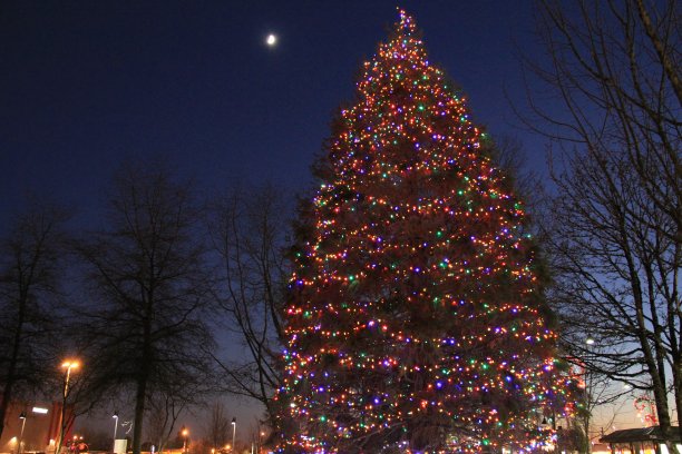 圣诞树图片下载