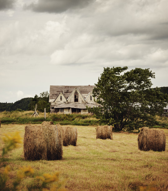 古老的农舍图片下载