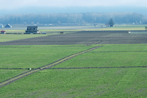 西澳大利亚斯卡吉特山谷的农田和河堤图片下载