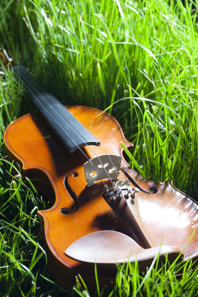 小提琴在草图片下载