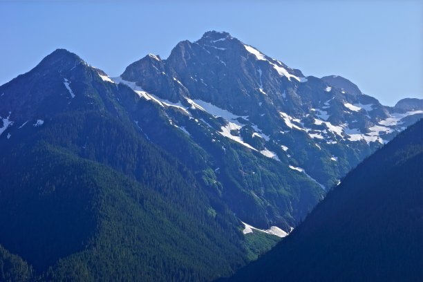 殖民嫩绿色图片下载