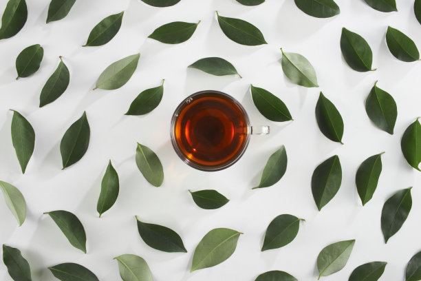 茶和茶叶图片下载