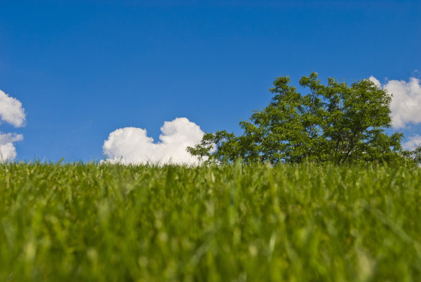 草地和蓝天图片下载
