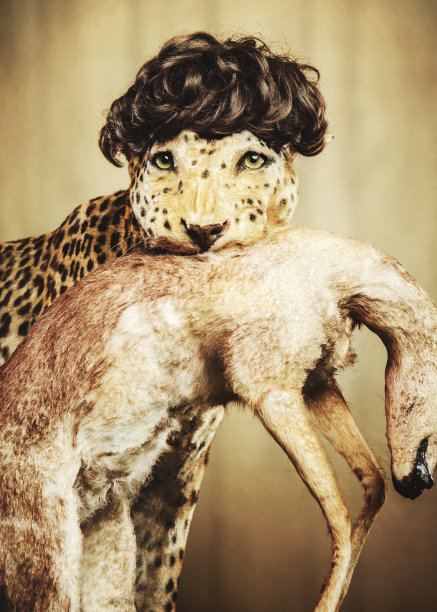 豹和假发图片下载