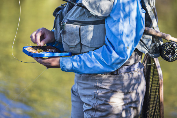 女人选择飞鱼饵图片下载