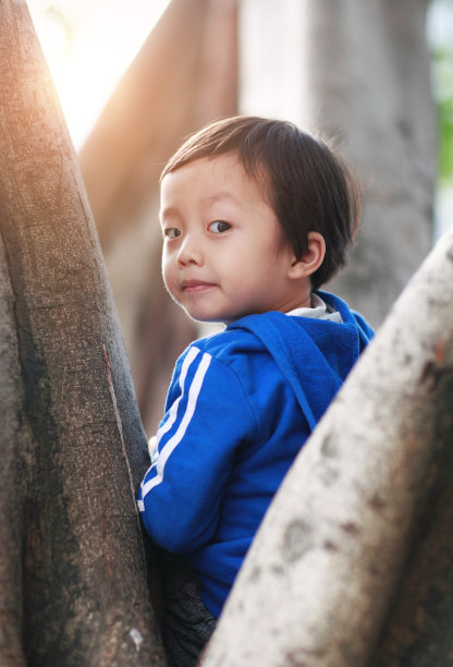 树上的孩子图片下载