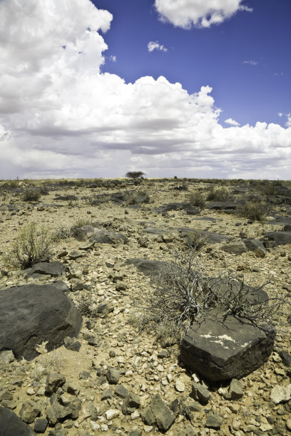 纳米比亚沙漠石图片下载