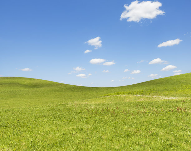 简单的绿色田野在春天图片下载