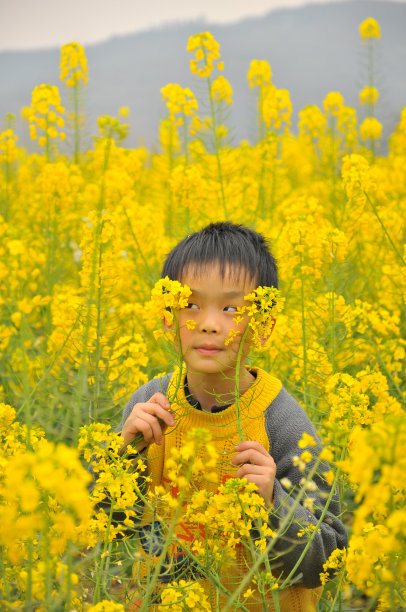 享受自然图片下载