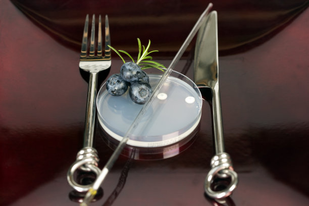 食物科学放在盘子里图片下载