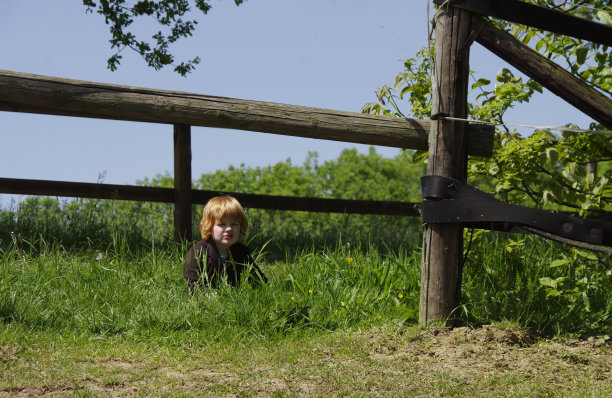 红发小男孩图片下载