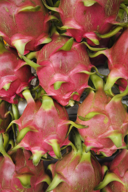 龙的热带水果图片下载