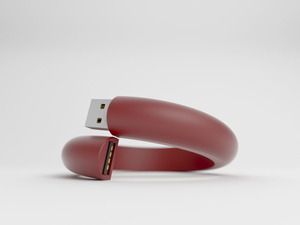 相机Bracelett图片下载