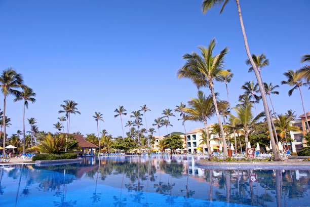 有天空和棕榈树的热带泳池图片下载