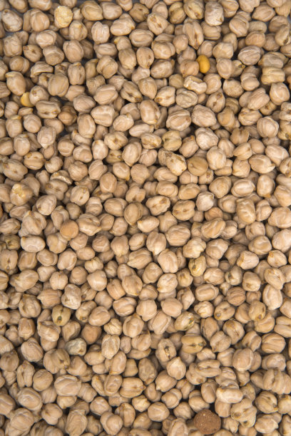 鹰嘴豆图片下载