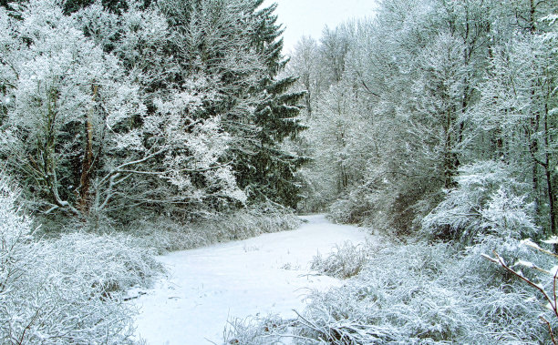 神奇的路径图片下载