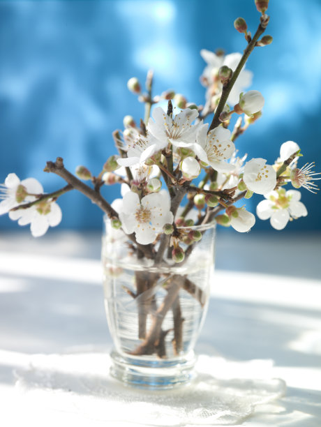 春天的花朵图片下载