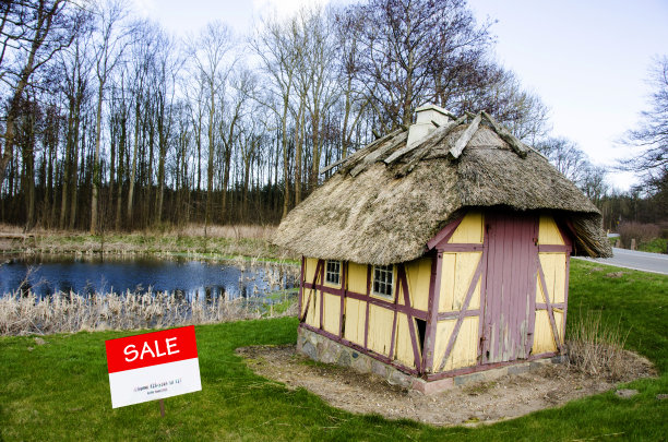 在乡下出售的房子图片下载