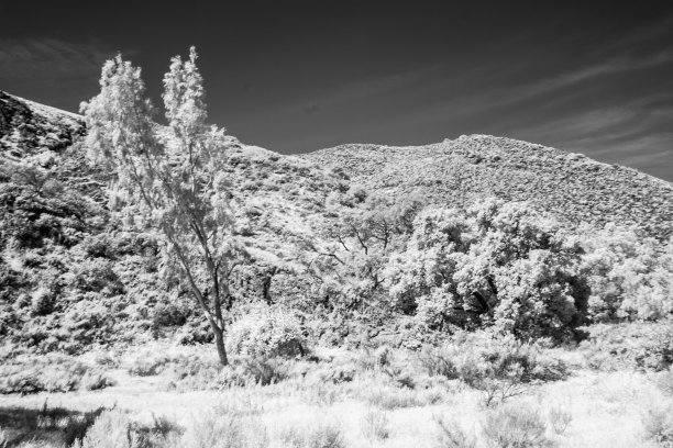 草地和山坡的红外线照片图片下载