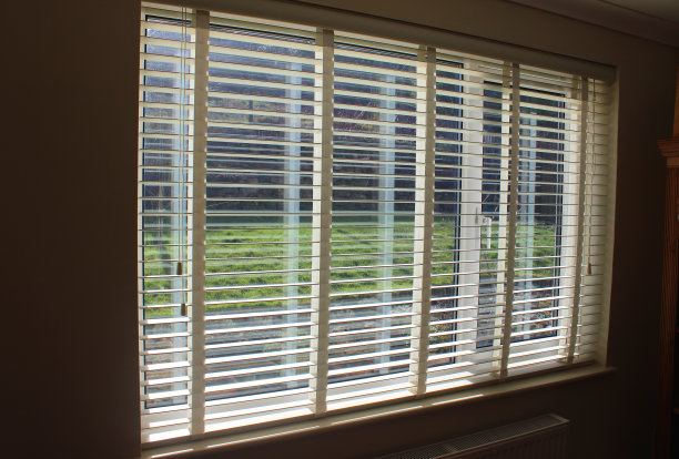 白色金属百叶窗的形象在窗口俯瞰花园图片下载