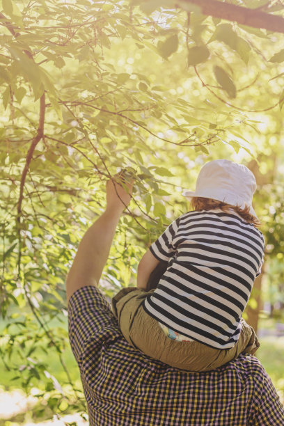 父亲和儿子图片下载