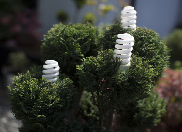 生物能源图片下载