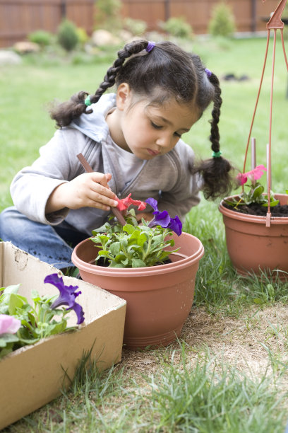 种植花图片下载