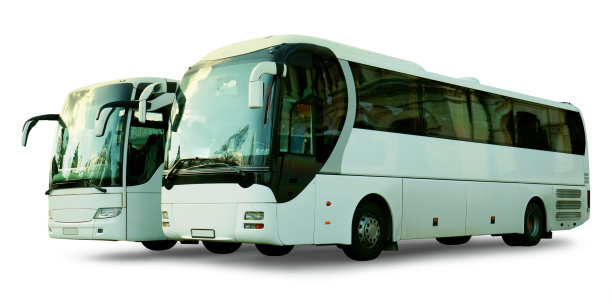 两辆白色巴士隔离图片下载