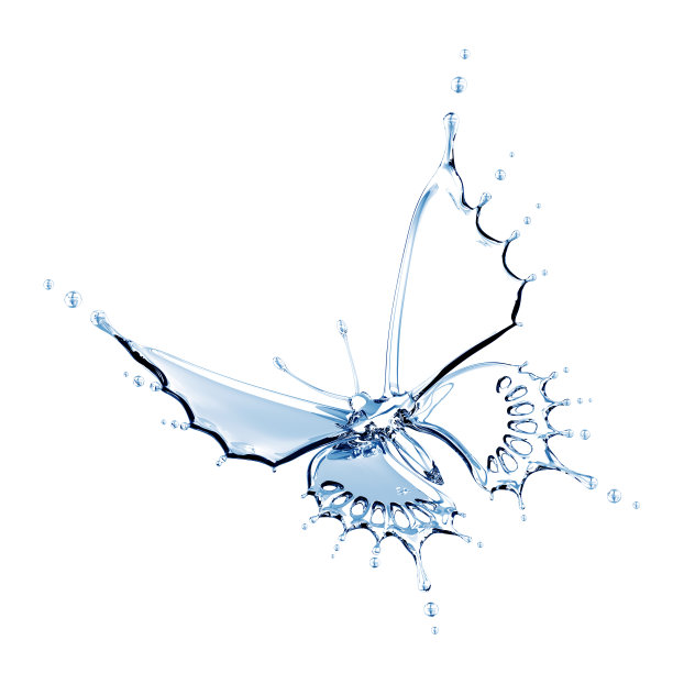 水的蝴蝶图片下载