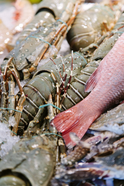 冰上鲜鱼图片下载