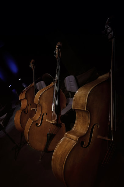 最低音的,低音提琴图片下载