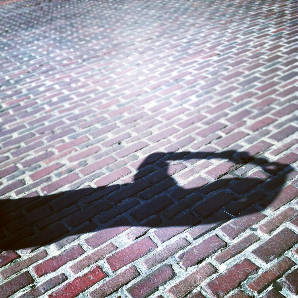 用移动设备手机拍照图片下载