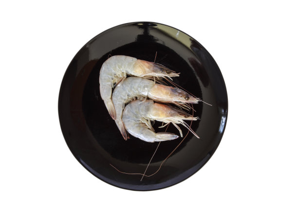 三个虾图片下载