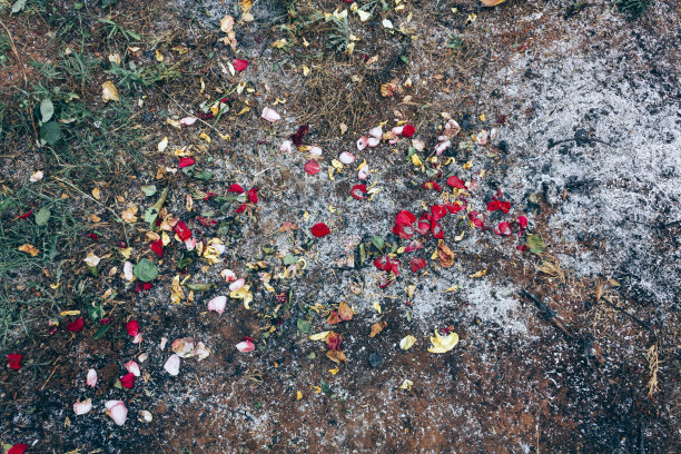 玫瑰叶灰，创意抽象设计背景照片图片下载