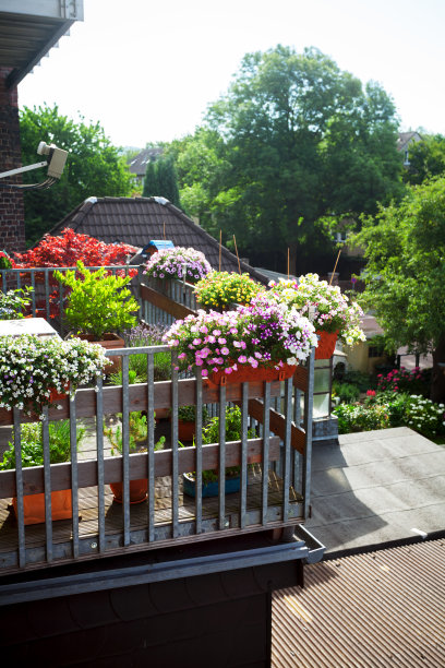鲁尔格别的阳台上有许多花图片下载
