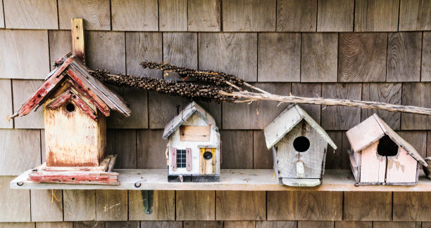 被忽视的住房问题图片下载