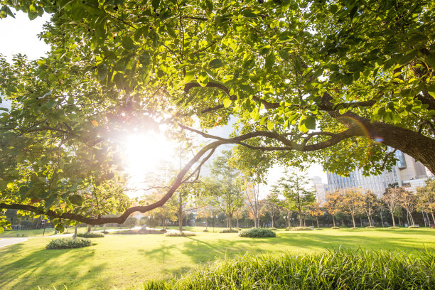 城市图片素材ID：145340290