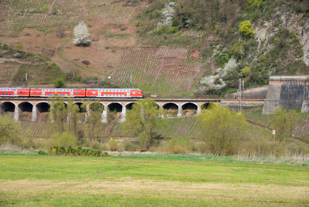 红色火车在高架桥上行驶，穿过葡萄园前往隧道图片下载